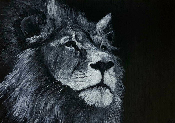 B&W Lion. Oil - My, Oil painting, Painting, Butter, Black and white, a lion, Big cats, Animals, Animalistics