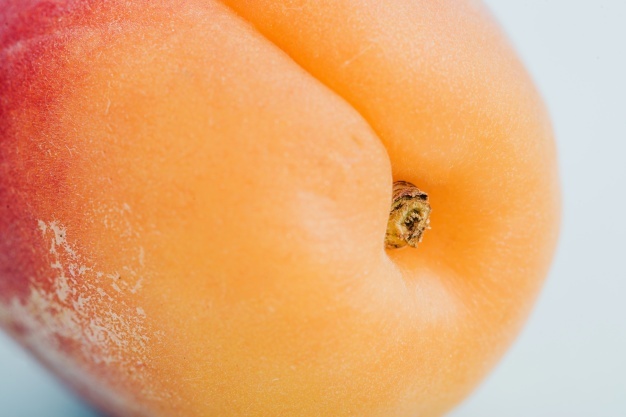 Summer is coming soon - My, Apricot, , Text