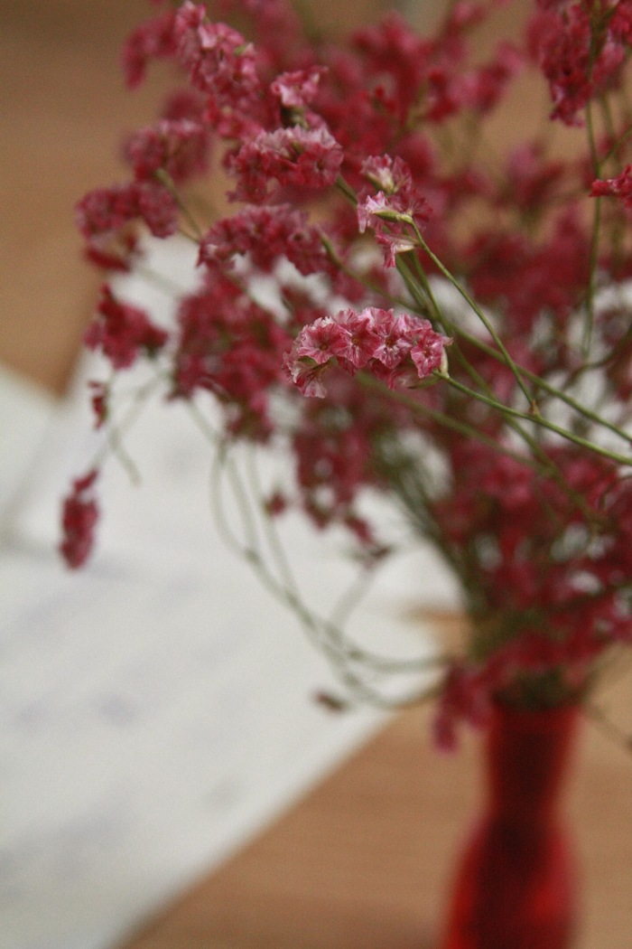 dried flowers - My, The photo, Flowers, Spring, Longpost