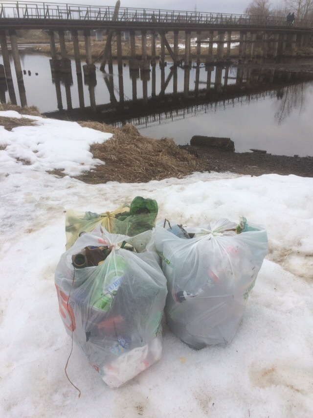 Spring on the Moskva River in the Mozhaisk District - My, Chistoman, Ecology, Shore, Clean forest, River, Moscow, Mozhaysky District, Mozhaisk, Longpost