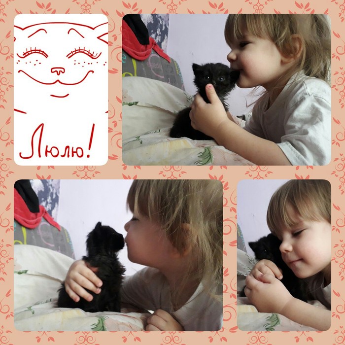 I think it's LOVE - My, cat, Kittens, , Children, Love