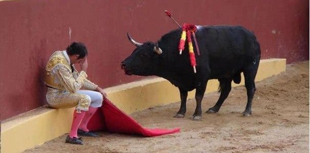 История одного раскаяния | Пикабу