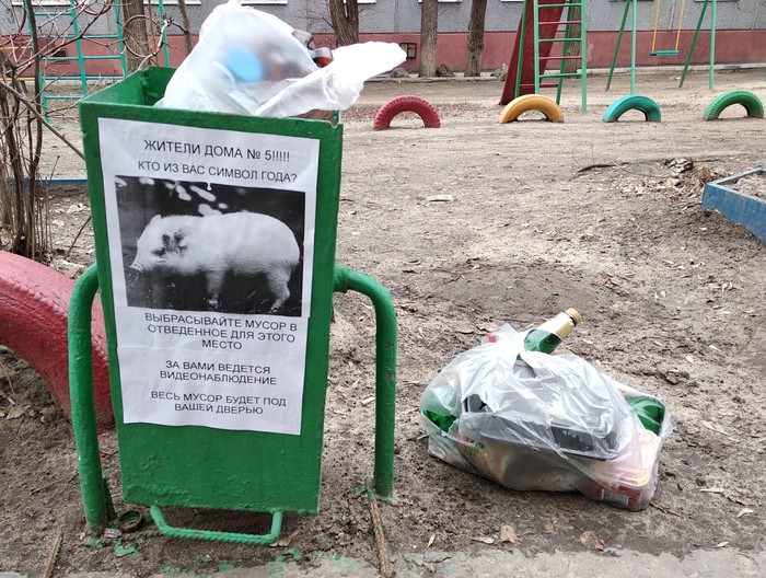 The symbol of the year is among us. - Courtyard, Garbage, Neighbours, Pig