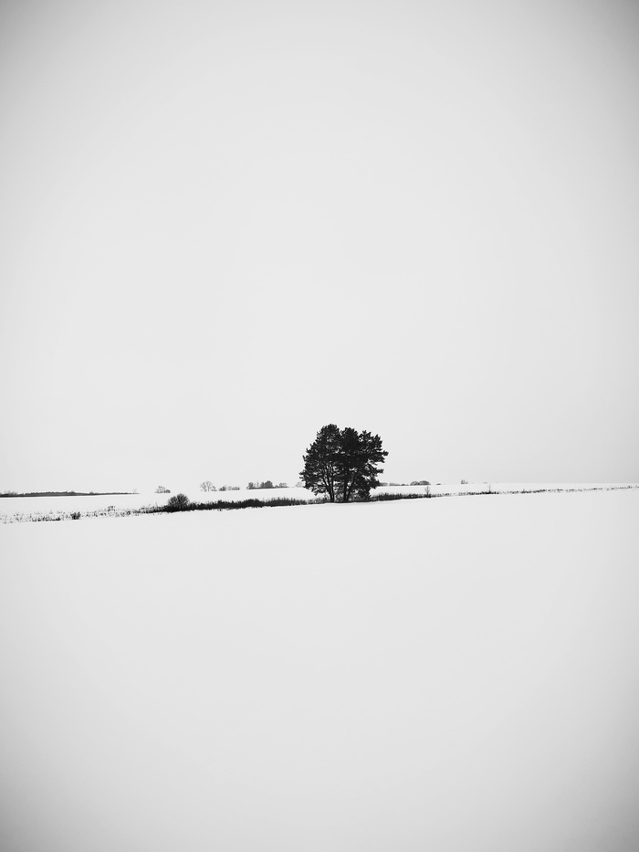 Winter landscape - My, Landscape, Black and white, Winter