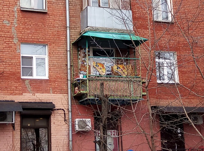 In hibernation - Butterfly, Winter, Balcony, Wings, Humor