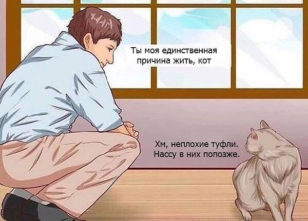 ������