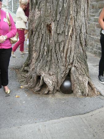 Cannonballs stuck in houses, fortresses, trees - The photo, Story, Cannonball, Longpost