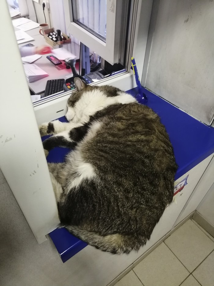      , , ,  , , , , 