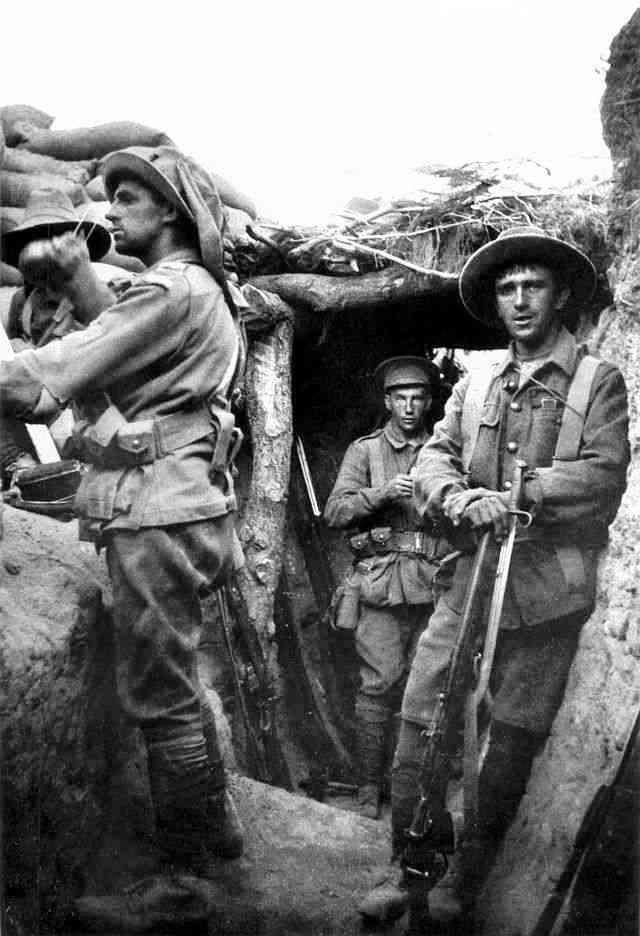 Sniper duel of World War I. - Warspot ru, World War I, , , Snipers, Gallipoli, Australia, Longpost