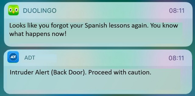 Duolingo, no! - Rear door, Intruder, Duolingo, Push Notifications