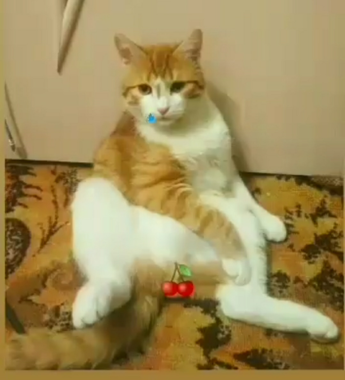  , , , ,  