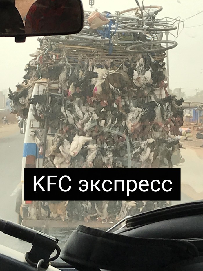 KFC  KFC, 