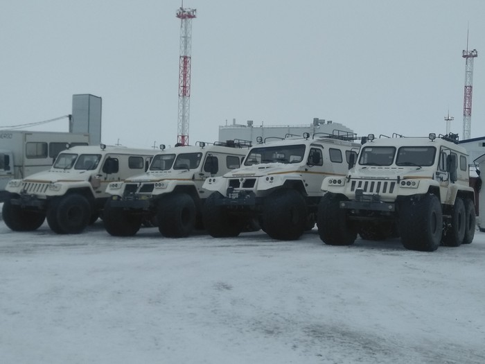 Яндекс такси на Ямале