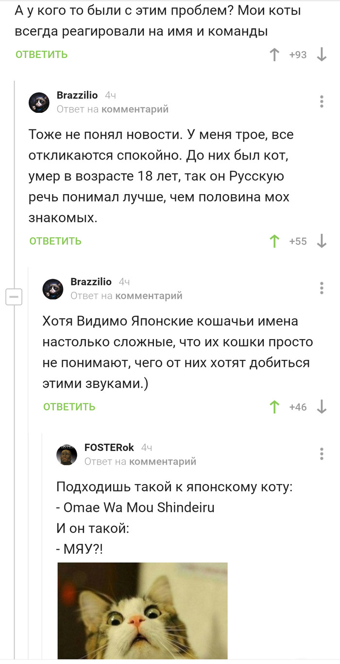 Проблемы японских котов