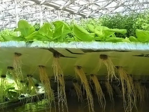 Space farmers: how and why to grow fresh vegetables in space. - ISS, Space, Colonization of Mars, Terraforming, The science, Knife media, Longpost