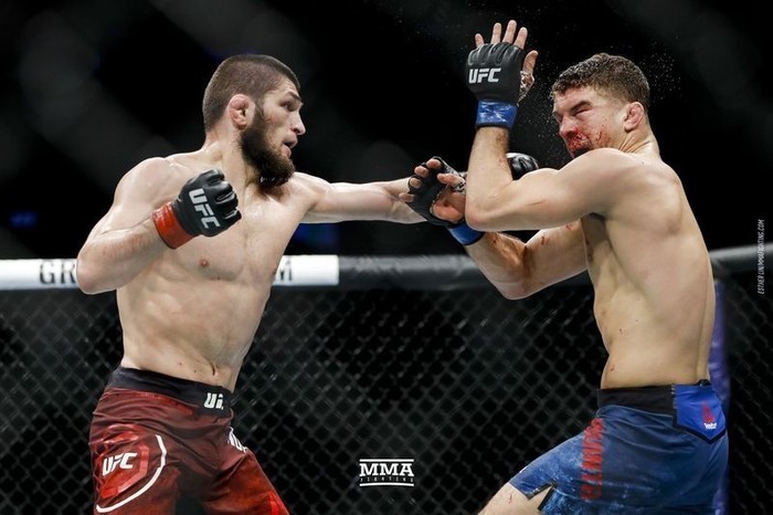 Al Iaquinta ready to challenge Nurmagomedov if cowboy Cerrone wins - My, Ufc, MMA, , , Khabib Nurmagomedov, Intrigue, Longpost