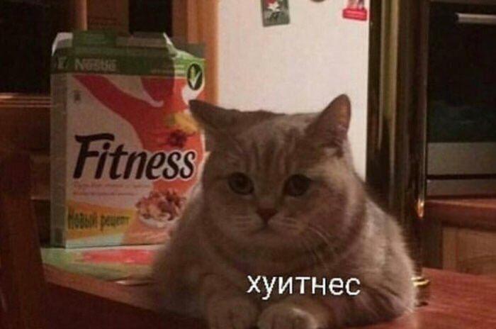 -()  , 