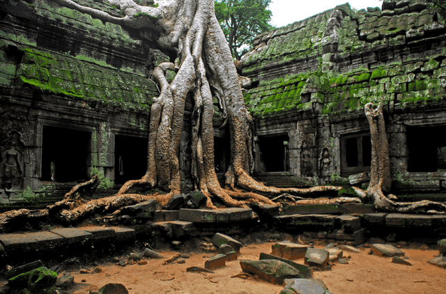 Temple built in the 12th century in Cambodia - Angkor Wat, Ancient Temple, beauty, The photo