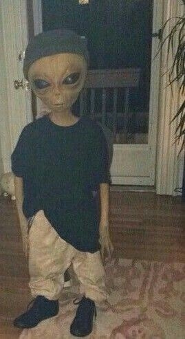 ���� ������!