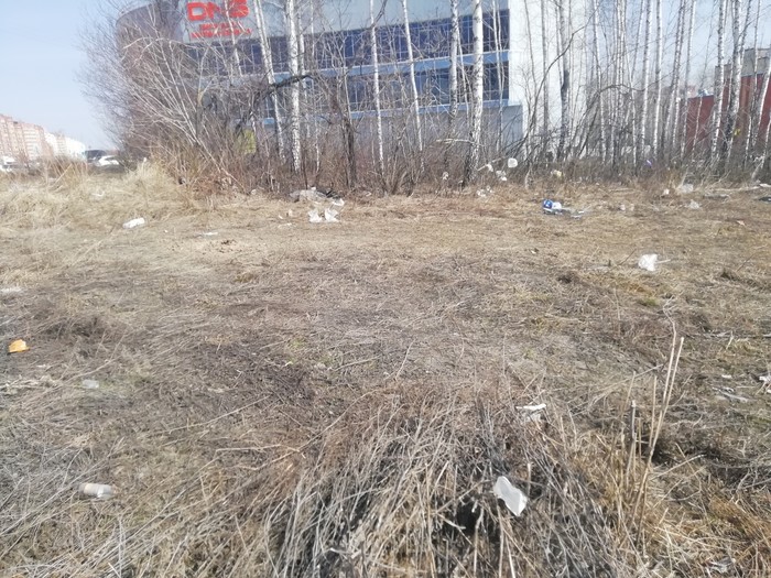 Following the example of the Pureman League. - Saturday clean-up, Chistoman, Cleaning, My, Garbage, Novosibirsk, Longpost, Pure Man's League, , Spring
