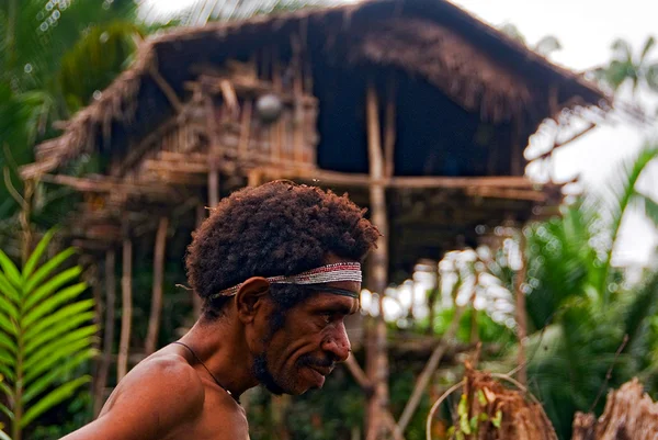 Korowai: a primitive tree-dwelling cannibal tribe - My, , , , Papua New Guinea, Traditions, Customs, Equator, Longpost, Yandex Zen, Loaf, Tribes