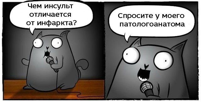 Комик пошутил про инсульт и умер. Зрители смеялись еще 5 минут - Ирония, Комик, Новости, Текст, Истории из жизни