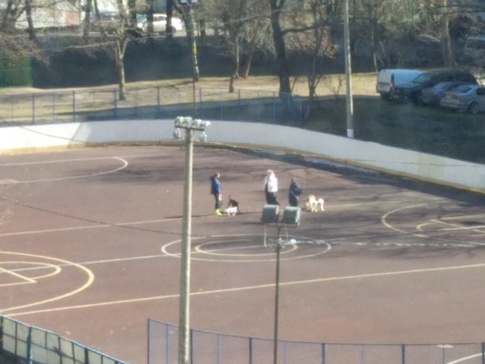 ��� ������