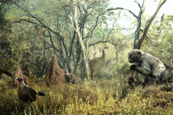 Archeoindri - Paleontology, Mammals, Lemur, Cenozoic, Longpost