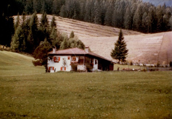 How to destroy a pastoral mountain valley in five minutes. - Italy, Story, Ecology, , Technological disaster, Longpost