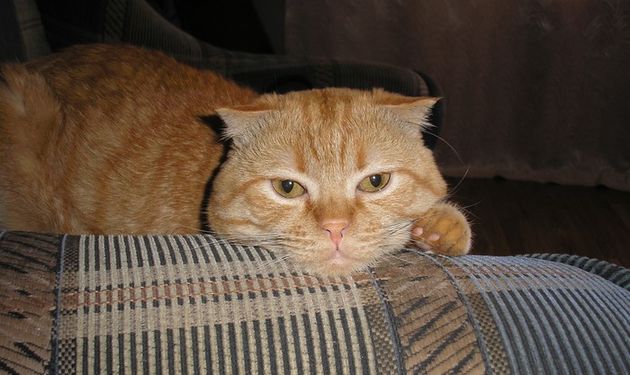 ... ��������� � ���� � ��������� ����� ...