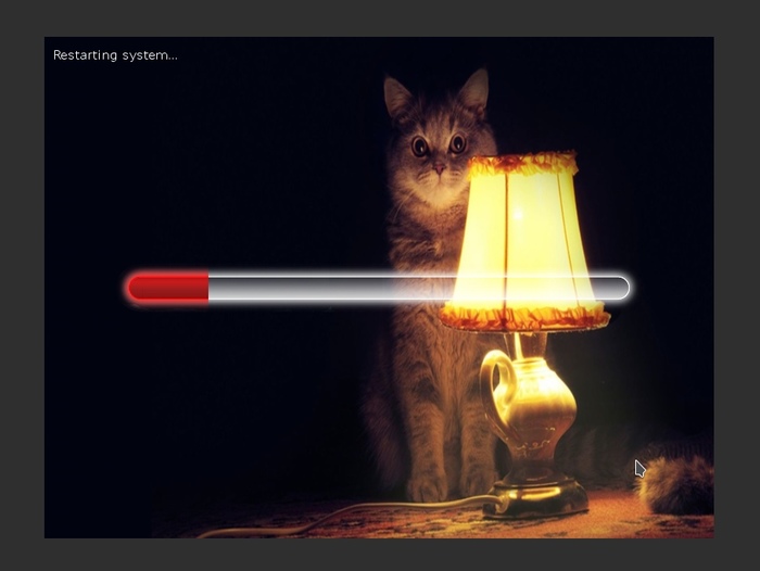 Fresh: reboot - Cat with lamp, My, cat