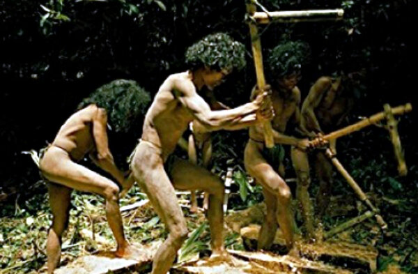 Tasadai: the tribe that deceived the whole world - Tribes, Longpost, Video, Facts, Zen, Equator, People, Customs, Traditions, Tribe, Tasadai Tribe, My