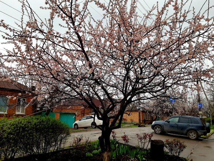 �������� ������ (����� �� Samsung Galaxy A30)