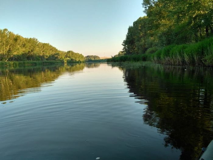 ����� �����.