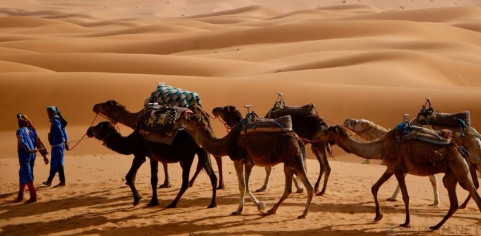 A story about the Berbers of North Africa, nomads who survived where no one else could. - My, The culture, Informative, Interesting, Berbers, Facts, People, Africa, Longpost