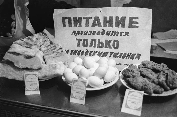 Russia may introduce food stamps for the poor - Agronews, Russia, Economy, news, Vladimir Zhirinovsky, Food, Coupons