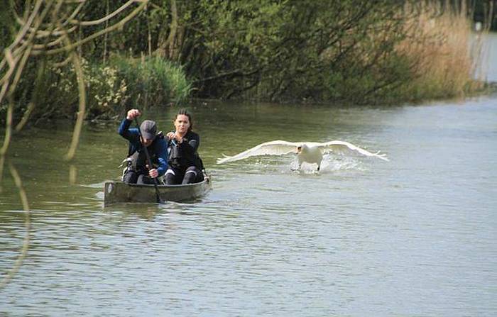 Когда сунулся в чужой район