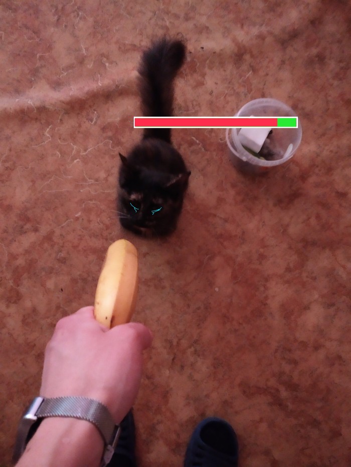 Baby I'm so sorry... - My, cat, Drama, Banana