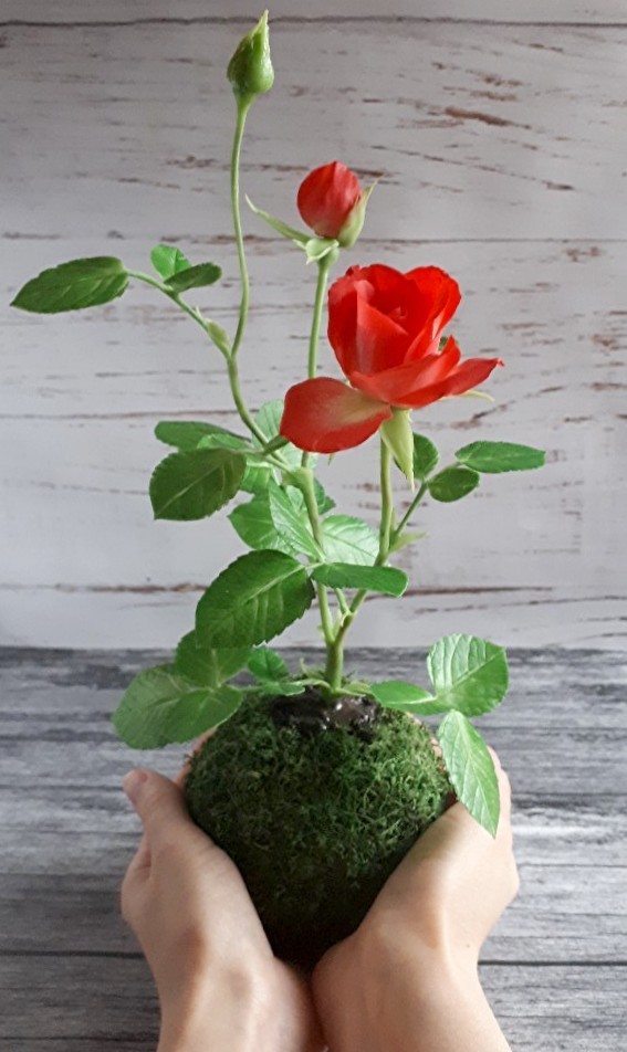 Kokedama with a rose.Cold porcelain. - My, Kokedama, Bonsai, the Rose, Flowers, Needlework without process, Cold porcelain, Polymer clay, Longpost