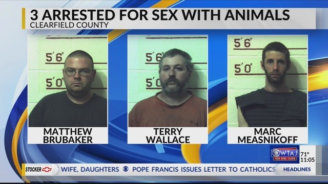 Three men received 20 to 41 years in prison for raping nine horses, several dogs, a cow and a goat. - Animals, People, USA, Bestiality