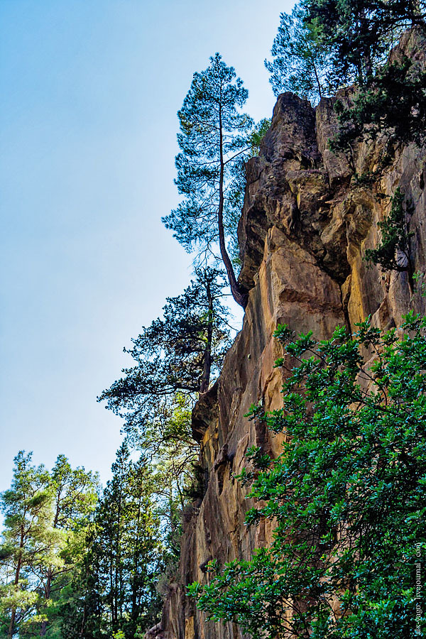 Elven path. - My, Travels, The photo, Tourism, Wild tourism, Hiking, The mountains, Longpost