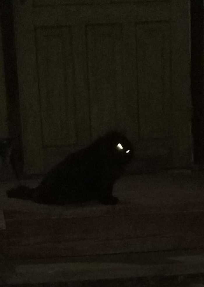 ��� ���������.