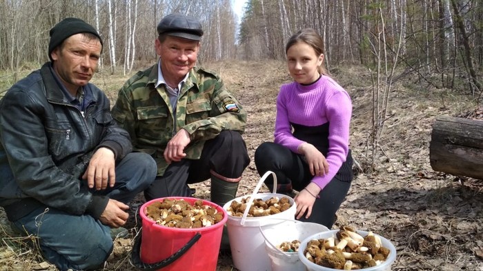 The hunting season is open! - My, Silent hunt, Mushroom pickers