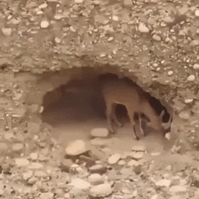 Вроде удобно и безопасно. Переночую здесь