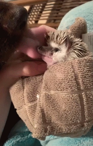 Маленький монстр