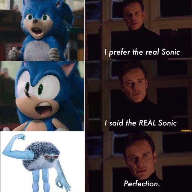 Real Sonic - Sonic the hedgehog, Sonic in film, 9GAG