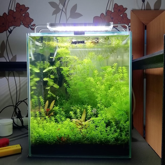 Elvinas Dambrauskas (): Nano 30ltr