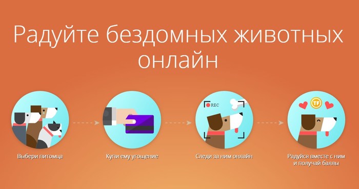 Годный благотворительный проект! - Помощь, Благотворительность, Без рейтинга, Помощь животным