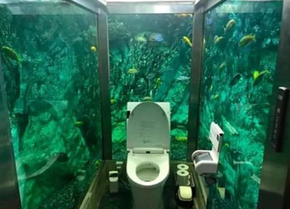 Aquarium toilet in Japan - Toilet, Japan, Aquarium