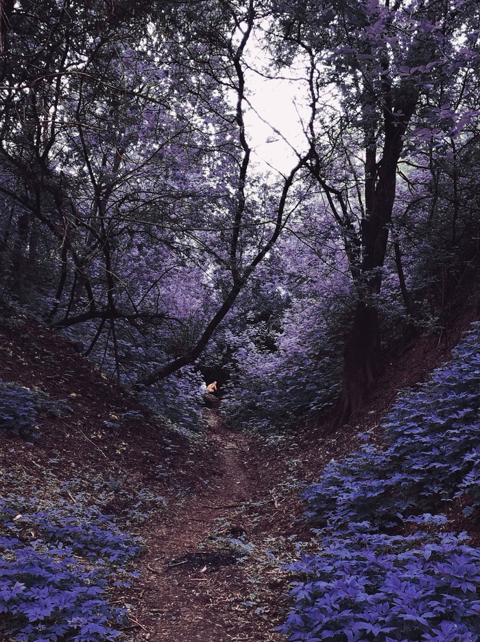 Парк Коломенское | Пикабу